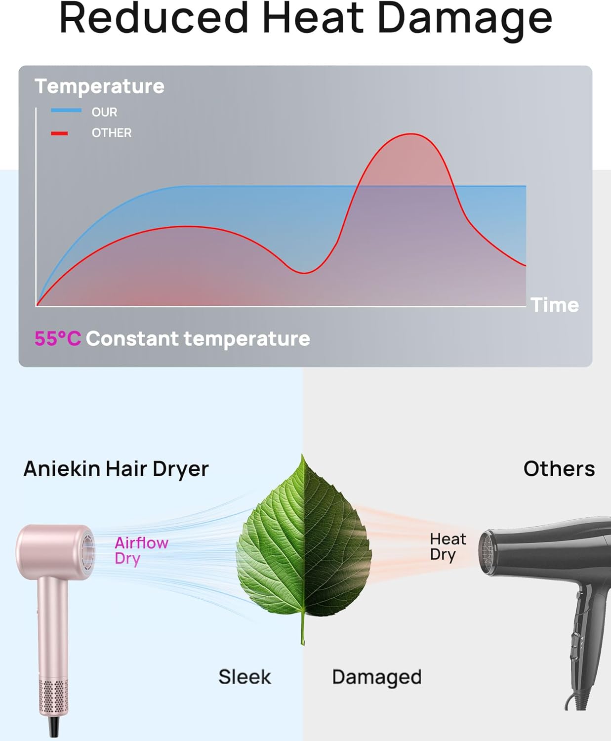 Fast-Dry Ionic Hair Dryer